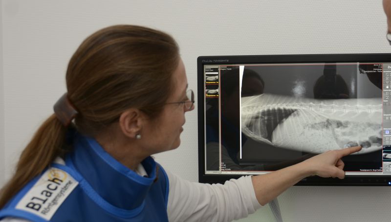 Digitale Röntgendiagnostik