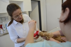 Behandlung einer Fußverletzung