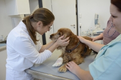 HP_Praxis_Seiffert_K2S3164